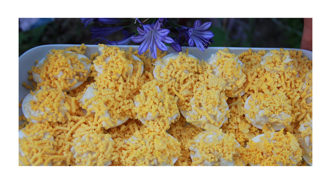 Oeufs mimosa - Eier Mimose Art